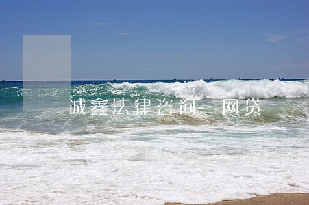诚鑫法律咨询 网贷 诚鑫法律咨询 网贷